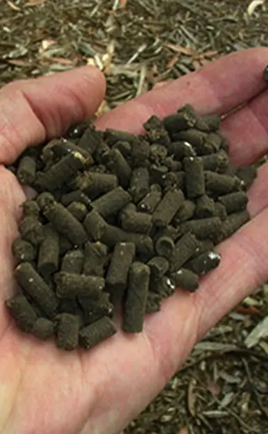有机肥颗粒