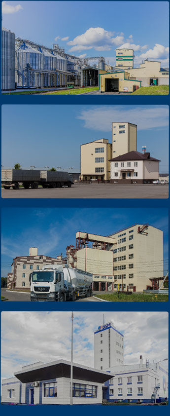 全球生物质颗粒工厂案例