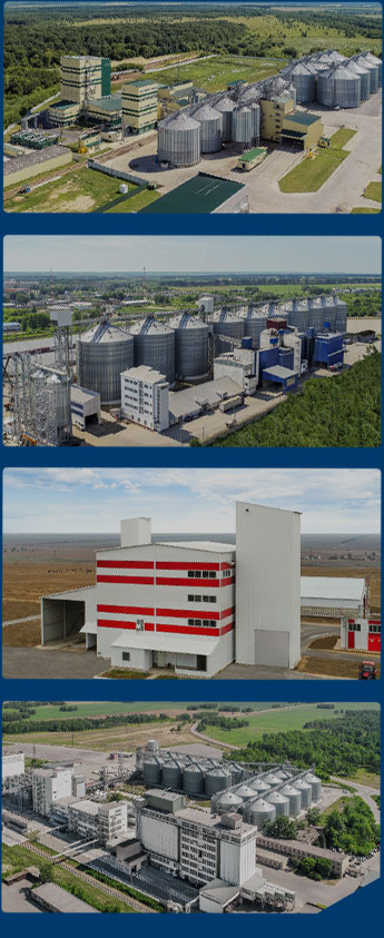 全球生物质颗粒工厂案例