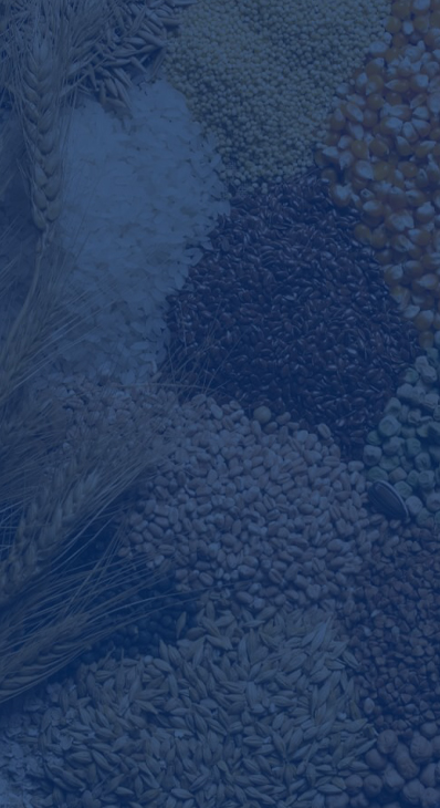 原材料加工设备