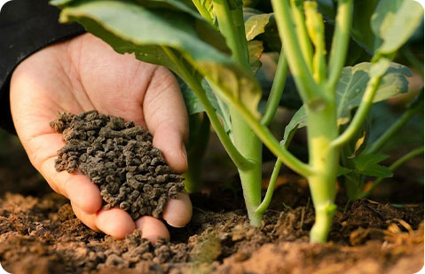 生物质颗粒生产线